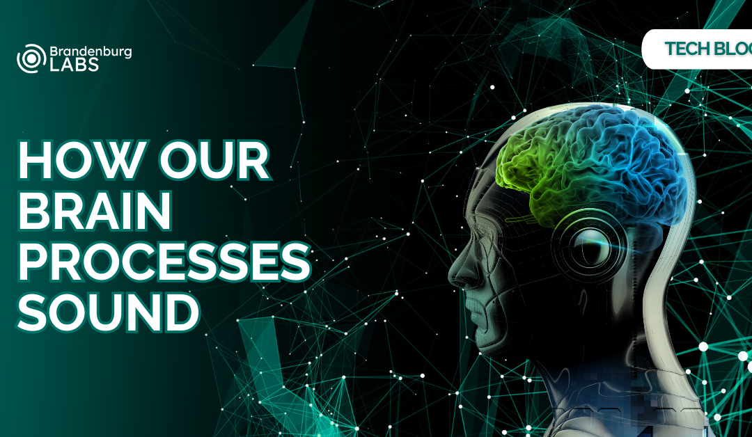 How the Brain Processes Sound